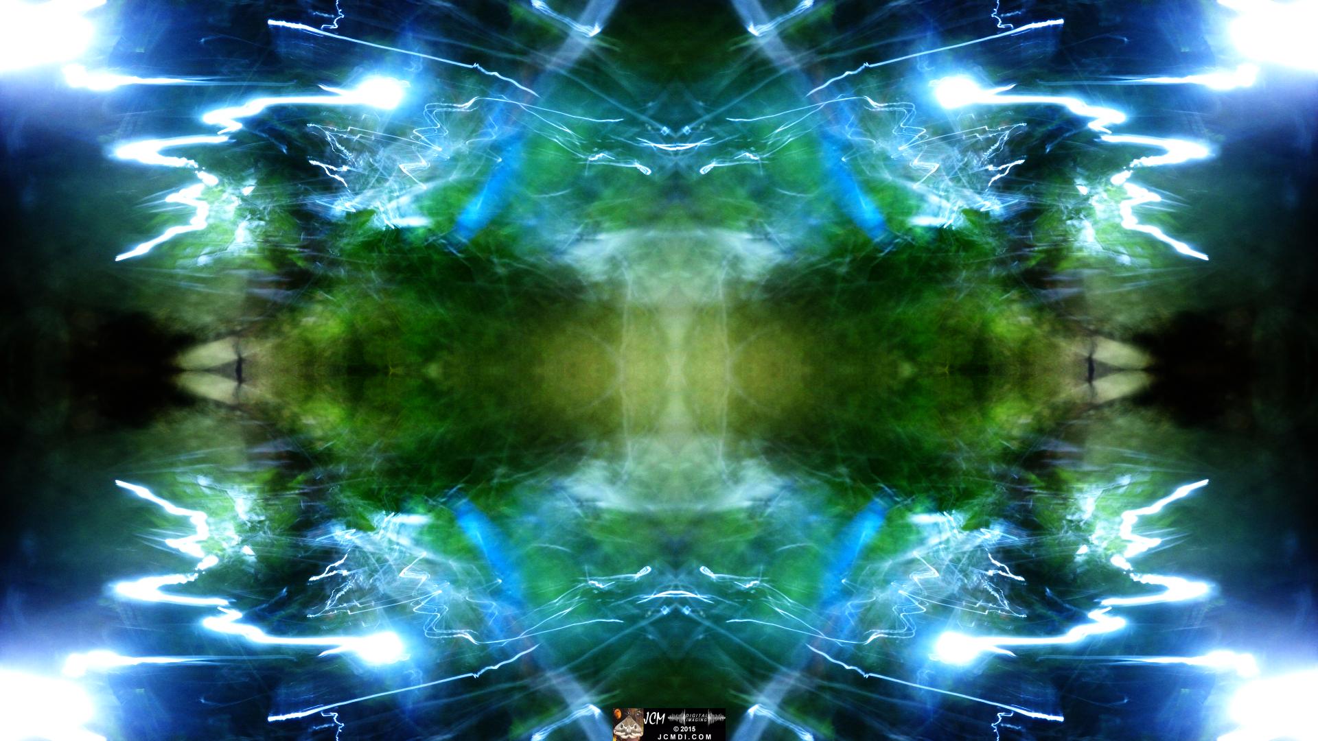 Scrub Jay Nest Time Lapse Hero4 Abstract quadroscopic